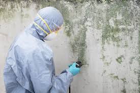 Best Asbestos and Lead Testing During Mold Inspection  in Grantley, PA